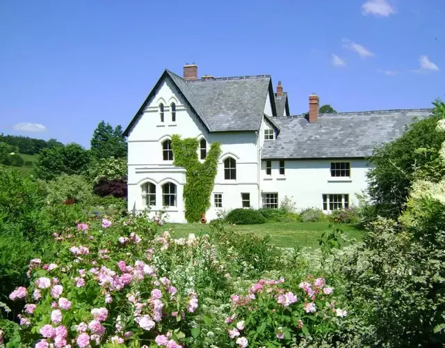 The Forest Country House B&B