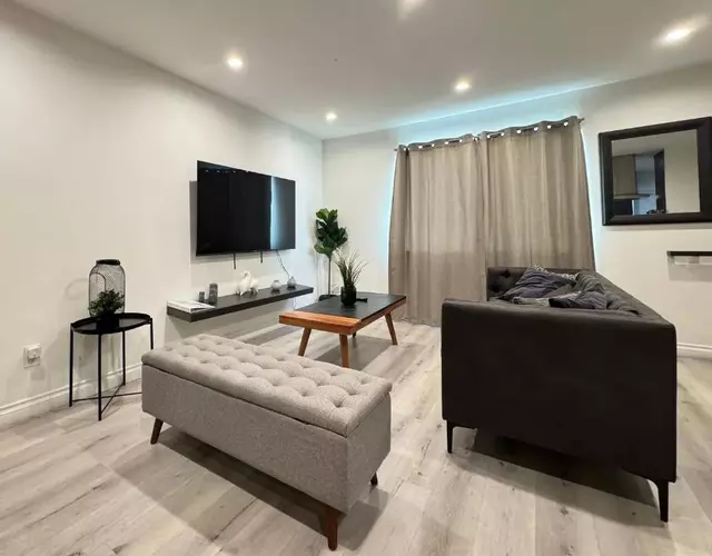 Hollywood Black Habitat