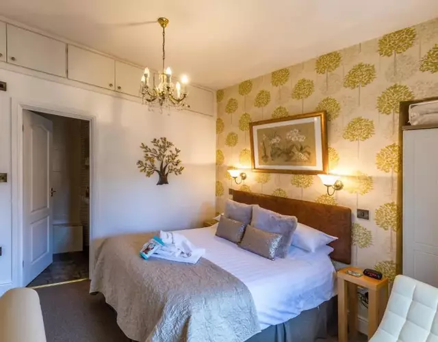 Forest Guest House