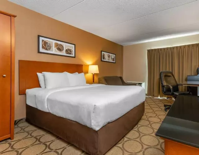 Comfort Inn South