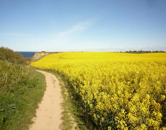 Villa Arosa Ostseetraum