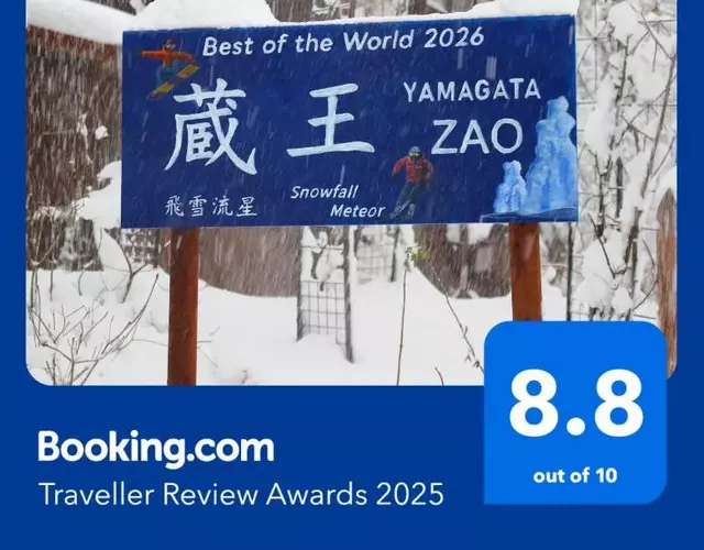 Snowfall Meteor 飛雪流星