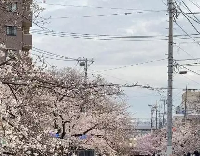 桜川別莊
