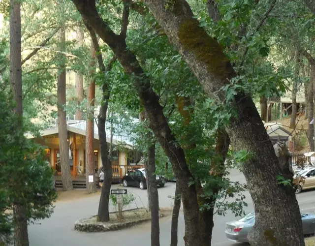 Yosemite Bug Rustic Mountain Resort