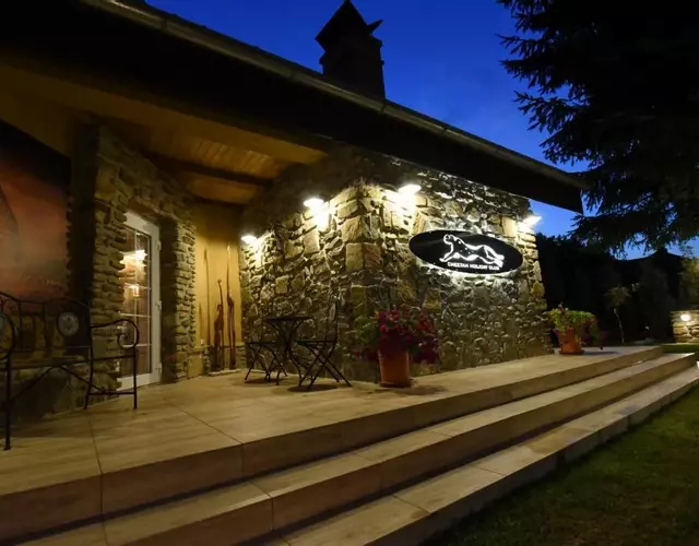 Cheetah Holiday Club