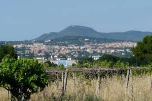 Albano Laziale