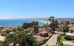 Algarrobo