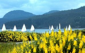 Anacortes