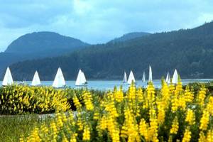 Anacortes