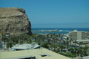 Arica
