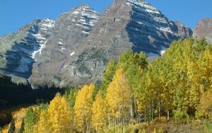 Aspen