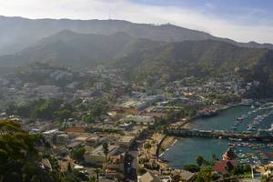 Avalon