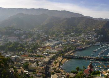 Avalon