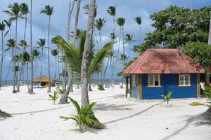 Bavaro