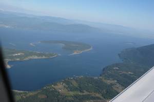 Bellingham