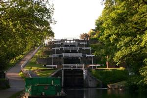 Bingley