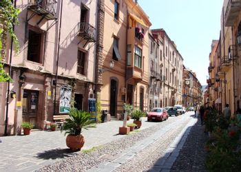 Bosa