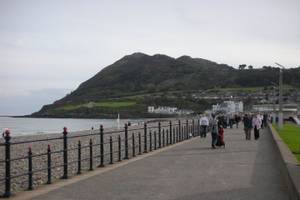 Bray