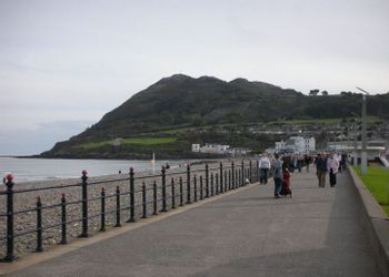Bray