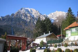 Bușteni
