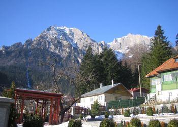 Bușteni
