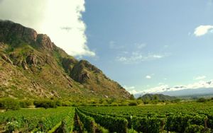 Cafayate