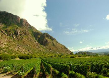 Cafayate
