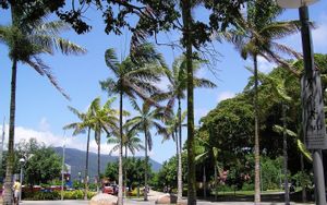 Cairns