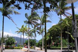 Cairns