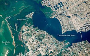 Cape Coral