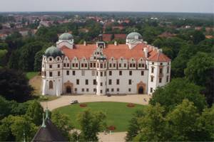 Celle