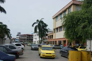 Colon