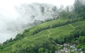 Darjeeling