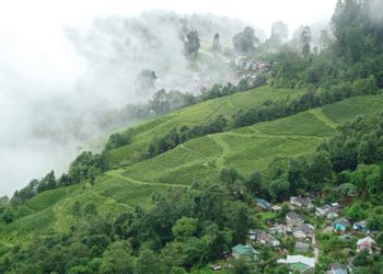 Darjeeling