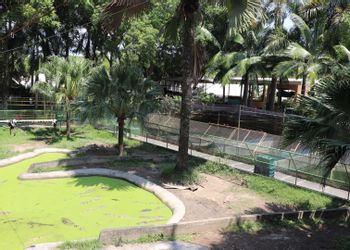 Davao