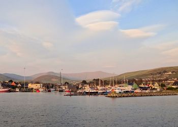Dingle