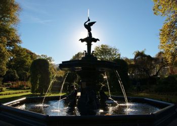 Dunedin