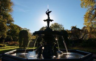 Generate a random place in Ubicación Dunedin