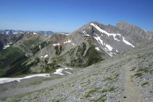 Fernie