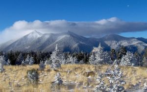 Flagstaff