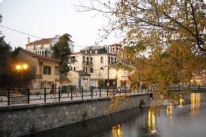 Florina