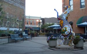 Fort Collins