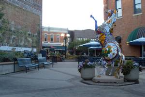 Fort Collins