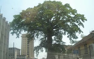 Freetown