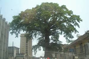 Freetown