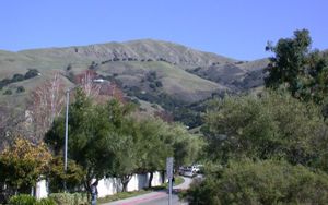 Fremont