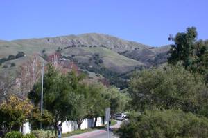 Fremont
