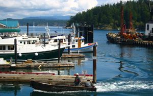 Friday Harbor