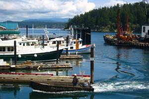 Friday Harbor