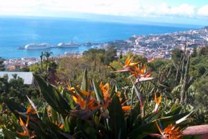 Funchal